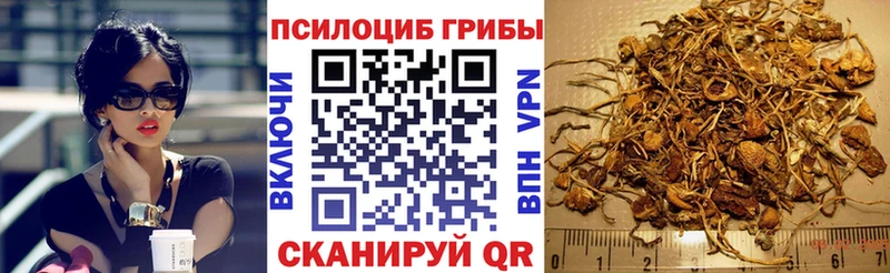 OMG ТОР  продажа наркотиков  Солнечногорск  Галлюциногенные грибы GOLDEN TEACHER 
