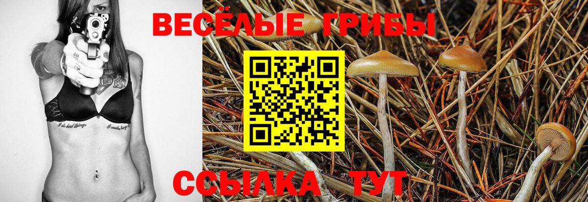 Солнечногорск  Галлюциногенные грибы ЛСД  Псилоцибиновые грибы MAGIC MUSHROOMS  Вход с VPN 